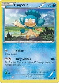 Image for Panpour (Kalos Starter Set) (11/39) - Pokemon