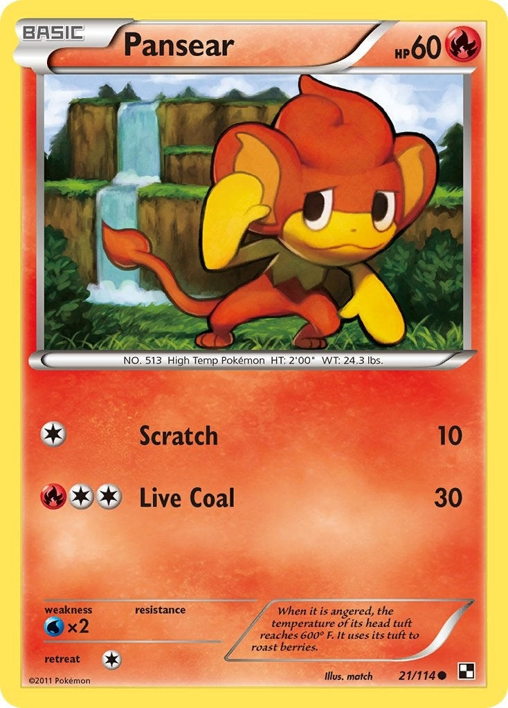Image for Pansear (Black and White) (21/114) - Pokemon
