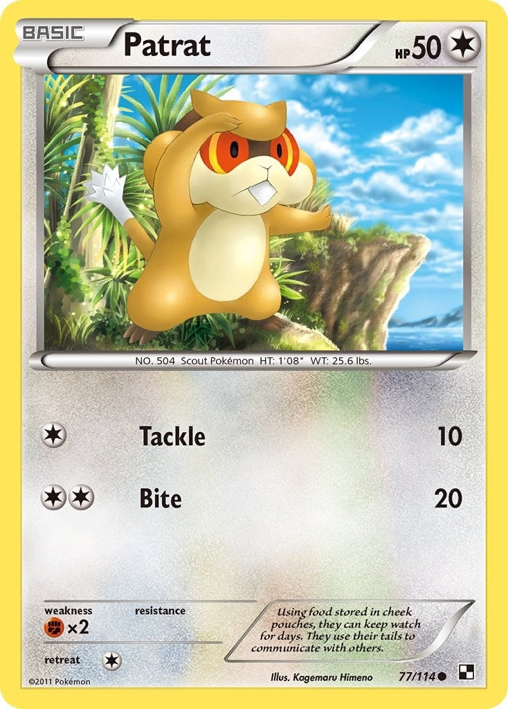 Image for Patrat (77) (Black and White) (77/114) - Pokemon