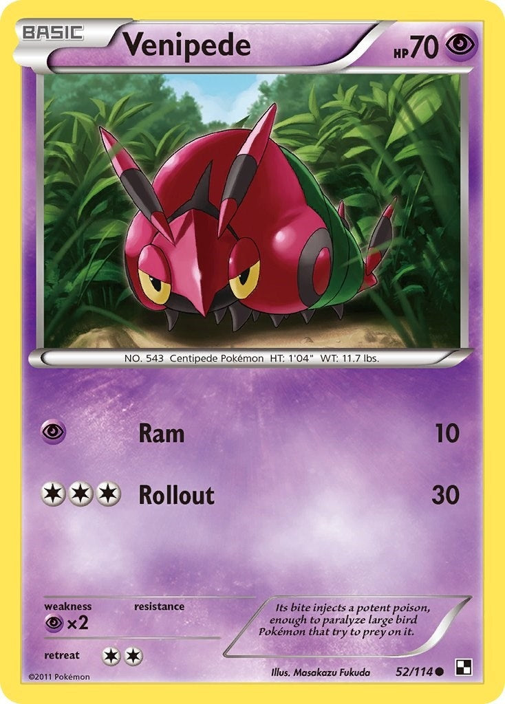 Image for Venipede (Black and White) (52/114) - Pokemon