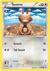 Image for Sentret (XY - Flashfire) (81/106) - Pokemon