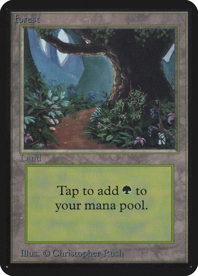 Image for Forest (B) (Alpha Edition) - Magic: The Gathering