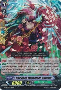 Image for Red Rose Musketeer, Antonio (BT14: Brilliant Strike) (BT14/020EN) - Cardfight Vanguard