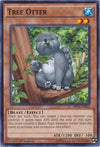 Image for Tree Otter (Battle Pack 3: Monster League) (BP03-EN062) - YuGiOh