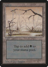 Image for Swamp (B) (Beta Edition) - Magic: The Gathering