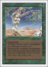 Image for Shanodin Dryads (Unlimited Edition) - Magic: The Gathering