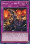 Image for Survival of the Fittest (2014 Mega-Tins Mega Pack) (MP14-EN178) - YuGiOh