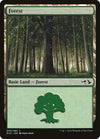 Image for Forest (030) (EVG) (Duel Decks: Anthology) (30) - Magic: The Gathering