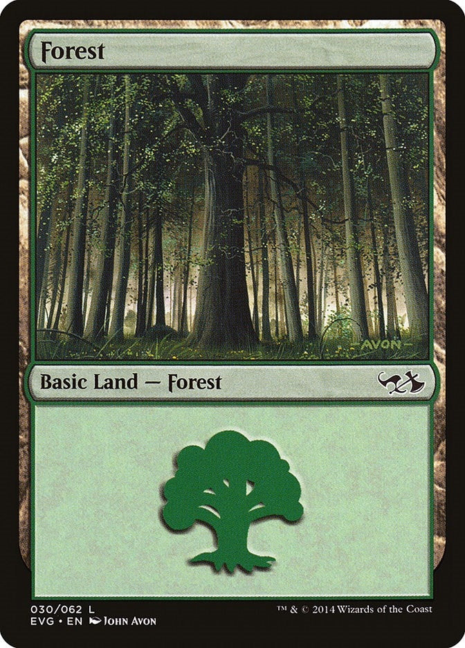 Image for Forest (030) (EVG) (Duel Decks: Anthology) (30) - Magic: The Gathering