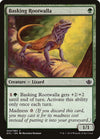 Image for Basking Rootwalla (Duel Decks: Anthology) (2) - Magic: The Gathering