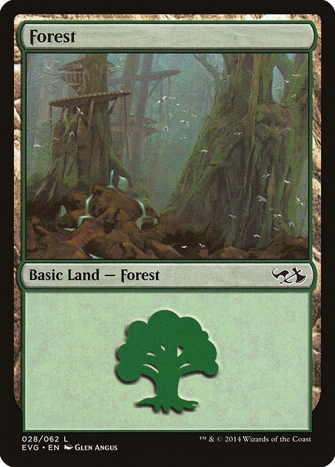 Image for Forest (028) (EVG) (Duel Decks: Anthology) (28) - Magic: The Gathering