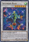 Image for Splendid Rose (Legendary Collection 5D's) (LC5D-EN100) - YuGiOh
