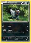 Image for Poochyena (XY - Phantom Forces) (53/119) - Pokemon