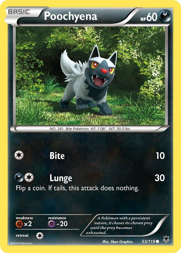 Image for Poochyena (XY - Phantom Forces) (53/119) - Pokemon