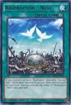 Image for Raidraptor - Nest (Secrets of Eternity) (SECE-EN054) - YuGiOh