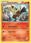 Image for Combusken (XY - Primal Clash) (27/160) - Pokemon