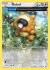 Image for Bidoof (Alpha) (XY - Primal Clash) (117/160) - Pokemon