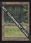 Image for Bayou (IE) (International Edition) - Magic: The Gathering