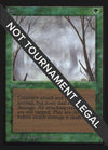 Image for Fog (IE) (International Edition) - Magic: The Gathering