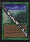 Image for Lifelace (IE) (International Edition) - Magic: The Gathering