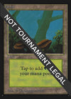 Image for Forest (A) (IE) (International Edition) (280) - Magic: The Gathering
