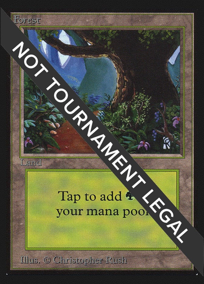 Image for Forest (B) (IE) (International Edition) (281) - Magic: The Gathering