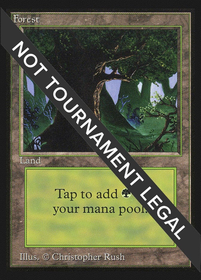 Image for Forest (C) (IE) (International Edition) (282) - Magic: The Gathering