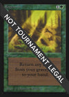 Image for Regrowth (CE) (Collector's Edition) - Magic: The Gathering