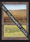 Image for Savannah (CE) (Collector's Edition) - Magic: The Gathering