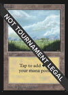 Image for Plains (B) (CE) (Collector's Edition) (290) - Magic: The Gathering