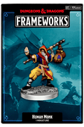 Dungeons & Dragons Frameworks: Human Monk Male - Dungeons & Dragons