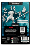 Dungeons & Dragons Frameworks: Human Monk Male - Dungeons & Dragons