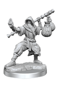 Dungeons & Dragons Frameworks: Human Monk Male - Dungeons & Dragons