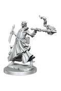 Dungeons & Dragons Frameworks: Dragonborn Sorcerer Female - Dungeons & Dragons
